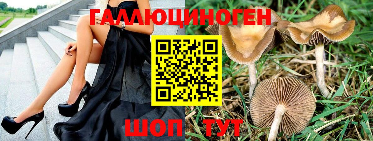 Галлюциногенные грибы MAGIC MUSHROOMS  купить   Ефремов  Вход с VPN 